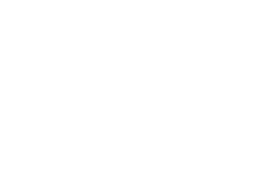 DIRE logo